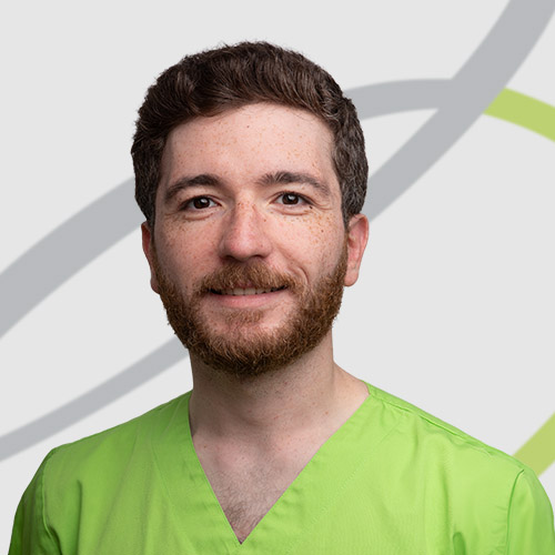 Mohammad Sultan Porträt von Mohammad Sultan